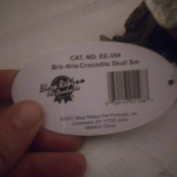 Alligator head - Picture 2 of 3